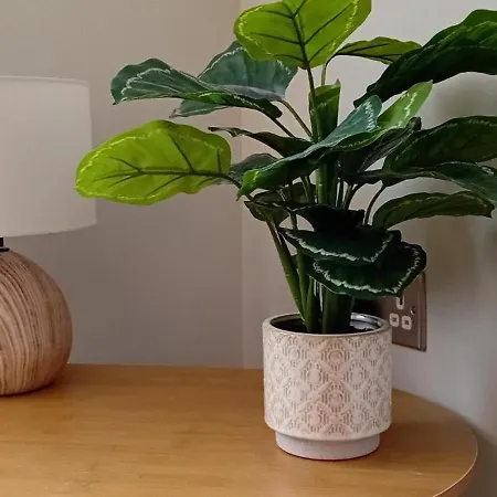 Martindale Close - 3 Bedrooms - Sleeps 5 Apartment