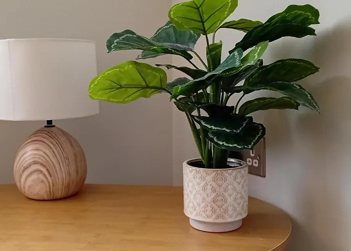 Martindale Close - 3 Bedrooms - Sleeps 5 Apartment